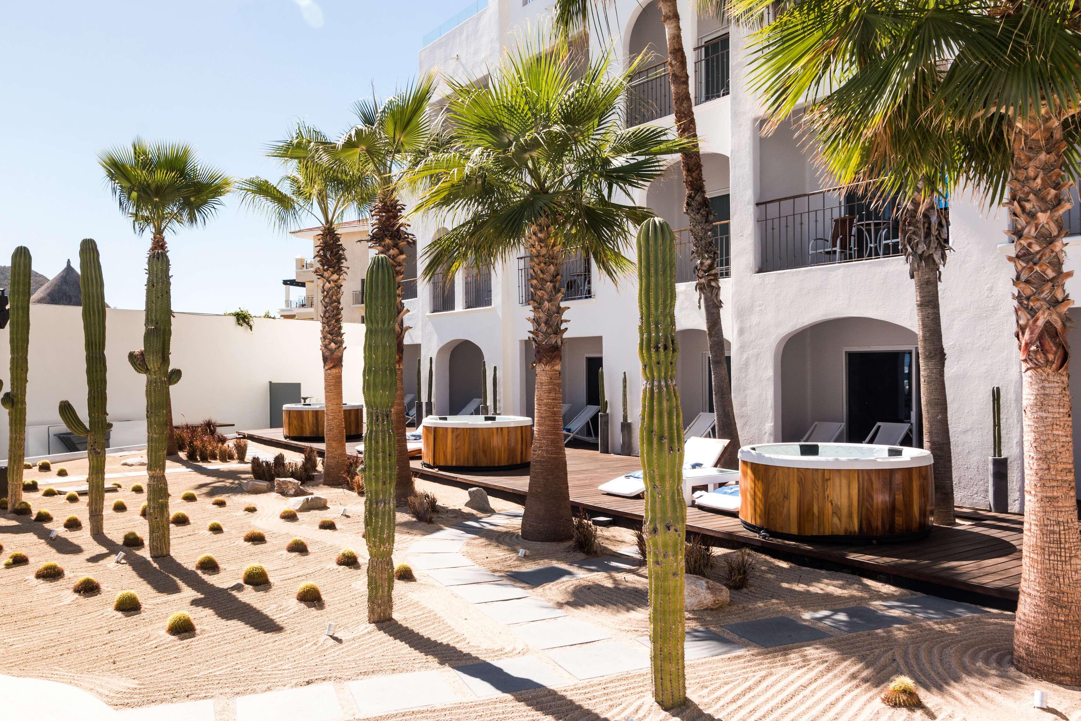 Me Cabo By Melia (Adults Only) Hotel Cabo San Lucas Eksteriør billede